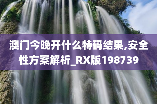 澳门今晚开什么特码结果,安全性方案解析_RX版198739