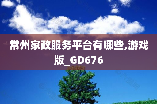 常州家政服务平台有哪些,游戏版_GD676