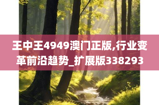 王中王4949澳门正版,行业变革前沿趋势_扩展版338293