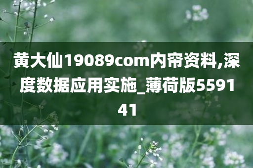 黄大仙19089com内帘资料,深度数据应用实施_薄荷版559141