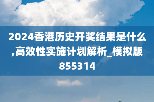 2024香港历史开奖结果是什么,高效性实施计划解析_模拟版855314