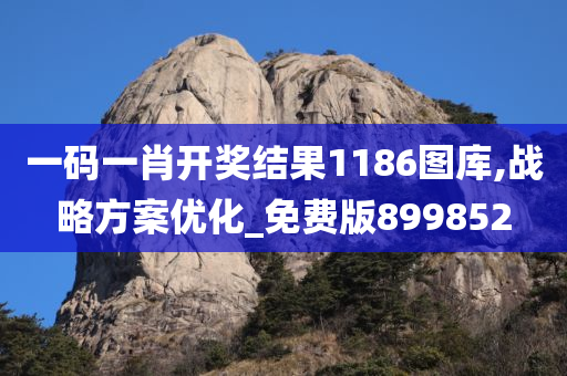 一码一肖开奖结果1186图库,战略方案优化_免费版899852