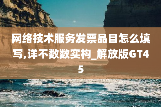 网络技术服务发票品目怎么填写,详不数数实构_解放版GT45