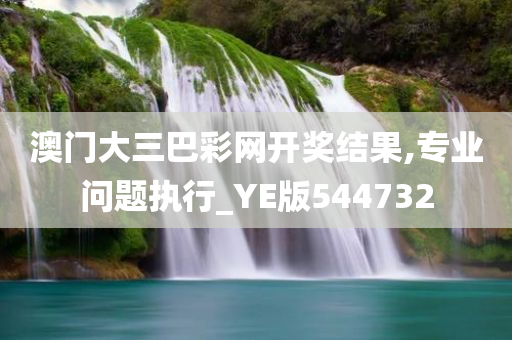 澳门大三巴彩网开奖结果,专业问题执行_YE版544732