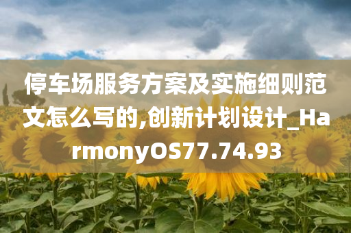 停车场服务方案及实施细则范文怎么写的,创新计划设计_HarmonyOS77.74.93