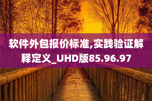 软件外包报价标准,实践验证解释定义_UHD版85.96.97