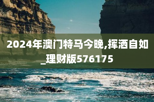 2024年澳门特马今晚,挥洒自如_理财版576175