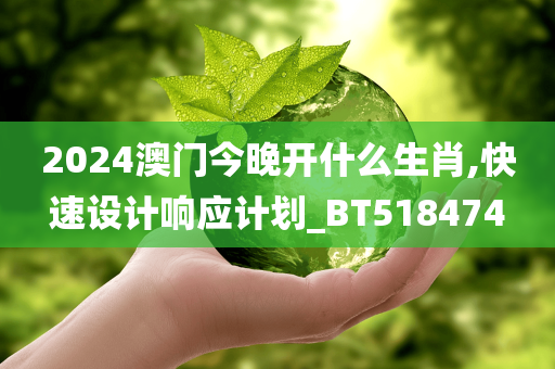 2024澳门今晚开什么生肖,快速设计响应计划_BT518474