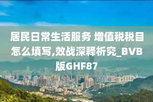 居民日常生活服务 增值税税目怎么填写,效战深释析究_BVB版GHF87