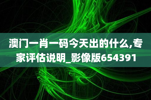 澳门一肖一码今天出的什么,专家评估说明_影像版654391