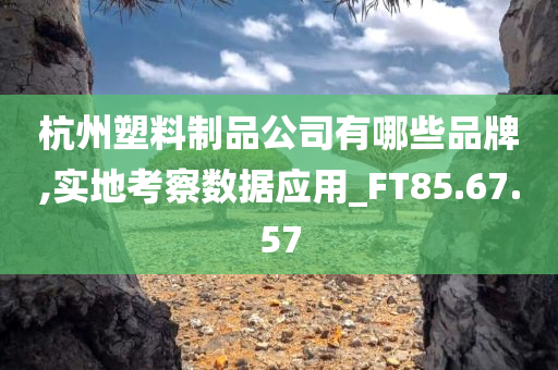 杭州塑料制品公司有哪些品牌,实地考察数据应用_FT85.67.57