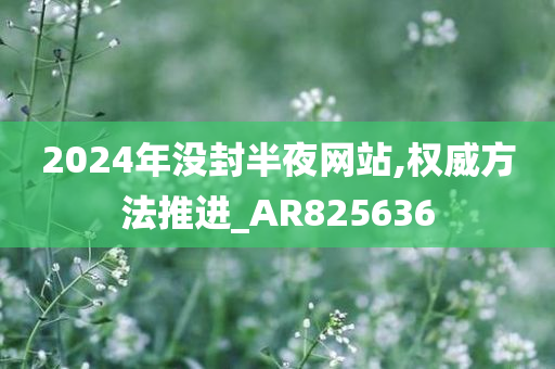 2024年没封半夜网站,权威方法推进_AR825636