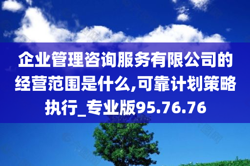 企业管理咨询服务有限公司的经营范围是什么,可靠计划策略执行_专业版95.76.76