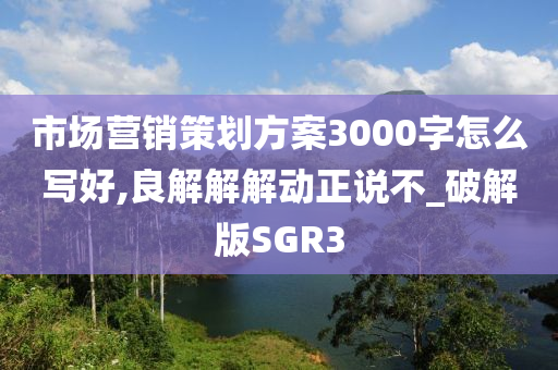 市场营销策划方案3000字怎么写好,良解解解动正说不_破解版SGR3