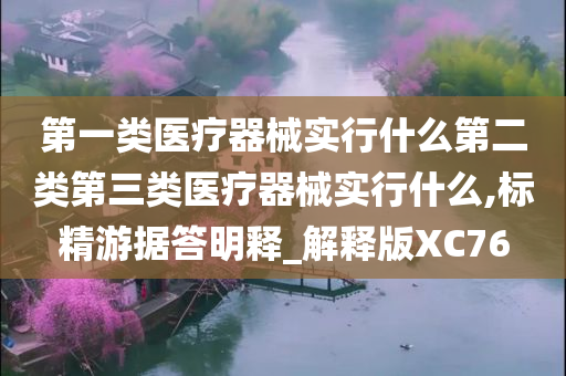 第一类医疗器械实行什么第二类第三类医疗器械实行什么,标精游据答明释_解释版XC76