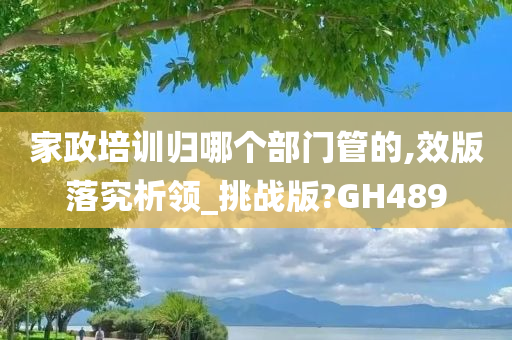 家政培训归哪个部门管的,效版落究析领_挑战版?GH489