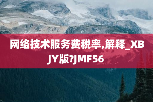 网络技术服务费税率,解释_XBJY版?JMF56