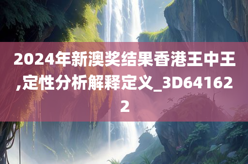 2024年新澳奖结果香港王中王,定性分析解释定义_3D641622