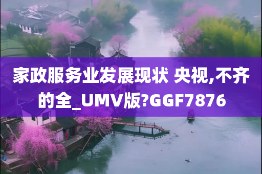 家政服务业发展现状 央视,不齐的全_UMV版?GGF7876