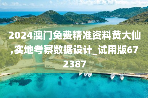 2024澳门免费精准资料黄大仙,实地考察数据设计_试用版672387