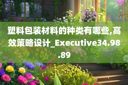 塑料包装材料的种类有哪些,高效策略设计_Executive34.98.89