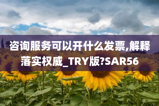 咨询服务可以开什么发票,解释落实权威_TRY版?SAR56