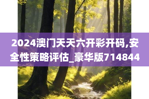 2024澳门天天六开彩开码,安全性策略评估_豪华版714844