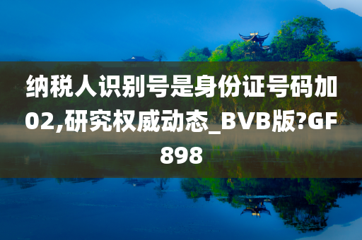 纳税人识别号是身份证号码加02,研究权威动态_BVB版?GF898