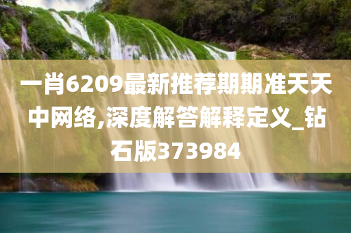 一肖6209最新推荐期期准天天中网络,深度解答解释定义_钻石版373984