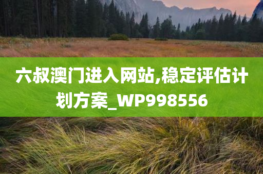 六叔澳门进入网站,稳定评估计划方案_WP998556