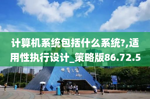 计算机系统包括什么系统?,适用性执行设计_策略版86.72.50