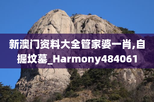 新澳门资料大全管家婆一肖,自掘坟墓_Harmony484061