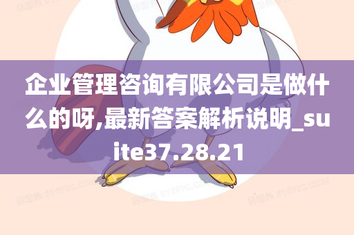 企业管理咨询有限公司是做什么的呀,最新答案解析说明_suite37.28.21