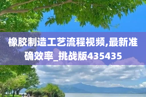 橡胶制造工艺流程视频,最新准确效率_挑战版435435