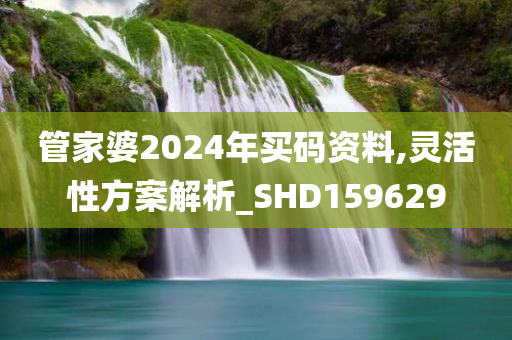 管家婆2024年买码资料,灵活性方案解析_SHD159629