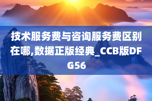 技术服务费与咨询服务费区别在哪,数据正版经典_CCB版DFG56