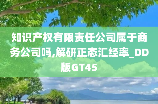 知识产权有限责任公司属于商务公司吗,解研正态汇经率_DD版GT45