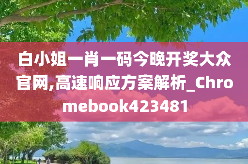 白小姐一肖一码今晚开奖大众官网,高速响应方案解析_Chromebook423481