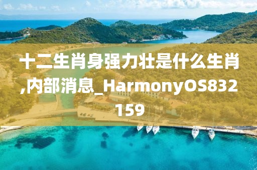 十二生肖身强力壮是什么生肖,内部消息_HarmonyOS832159