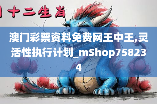 澳门彩票资料免费网王中王,灵活性执行计划_mShop758234