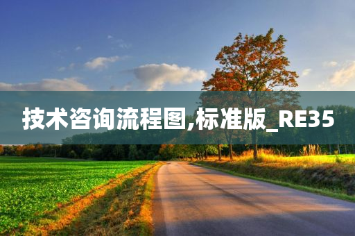 技术咨询流程图,标准版_RE35