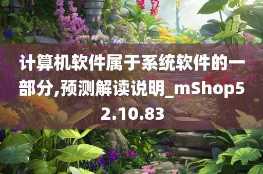 计算机软件属于系统软件的一部分,预测解读说明_mShop52.10.83