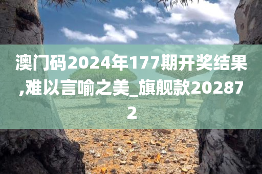 澳门码2024年177期开奖结果,难以言喻之美_旗舰款202872