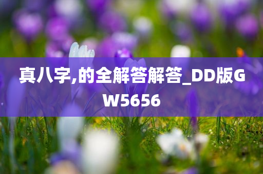 真八字,的全解答解答_DD版GW5656