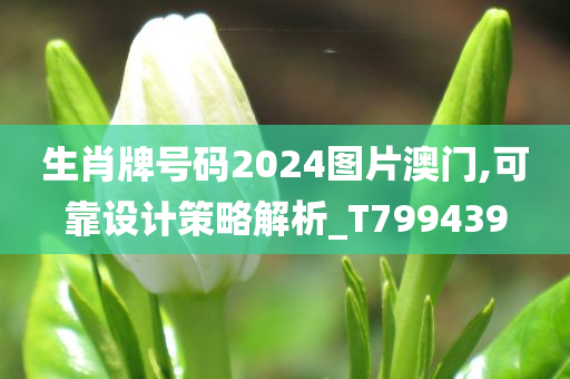 生肖牌号码2024图片澳门,可靠设计策略解析_T799439