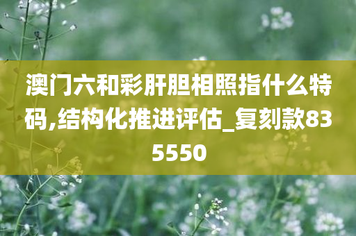 澳门六和彩肝胆相照指什么特码,结构化推进评估_复刻款835550