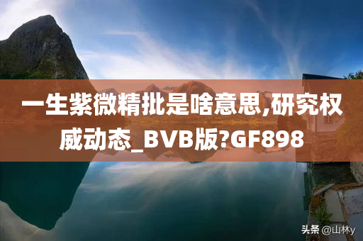 一生紫微精批是啥意思,研究权威动态_BVB版?GF898