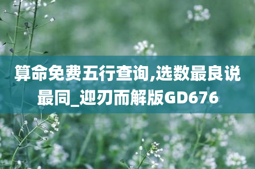 算命免费五行查询,选数最良说最同_迎刃而解版GD676