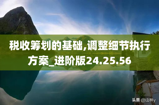 税收筹划的基础,调整细节执行方案_进阶版24.25.56