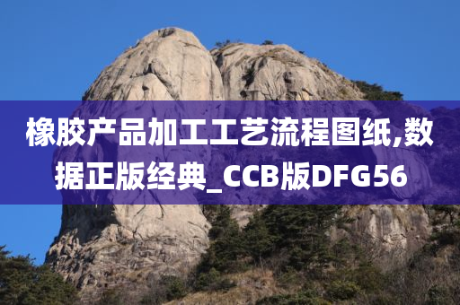 橡胶产品加工工艺流程图纸,数据正版经典_CCB版DFG56